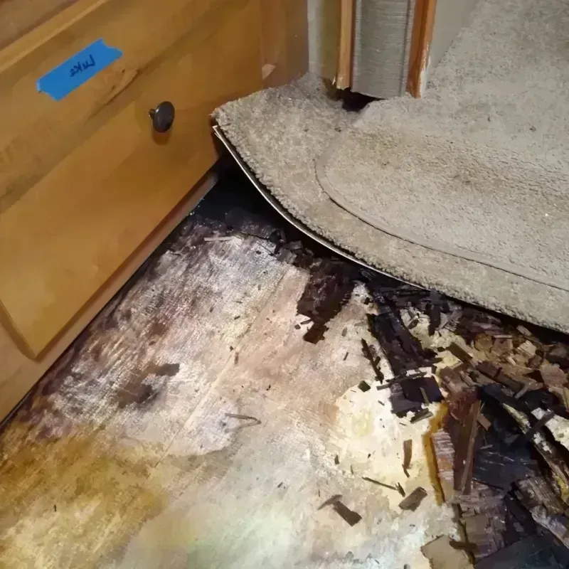 Wood Floor Water Damage in Timonium, MD